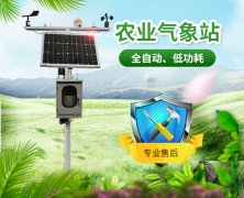 山東地區(qū)無(wú)公害葡萄種植需要什么條件？